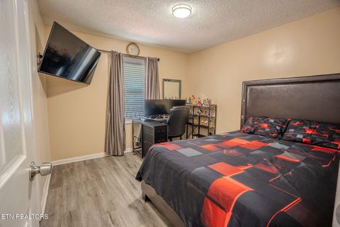 Tiny photo for 8023 Conner Rd, Powell, TN 37849 (MLS # 1341679)