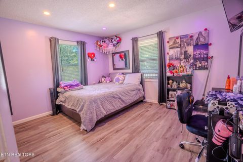 Tiny photo for 8023 Conner Rd, Powell, TN 37849 (MLS # 1341679)