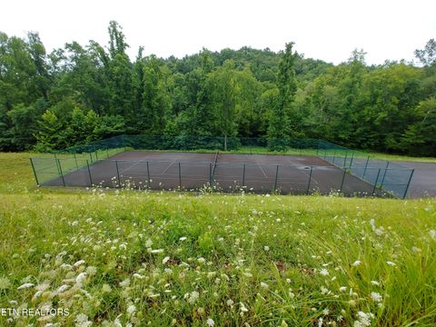 Tiny photo for 0 Mill Drive, Decatur, TN 37322 (MLS # 1305070)