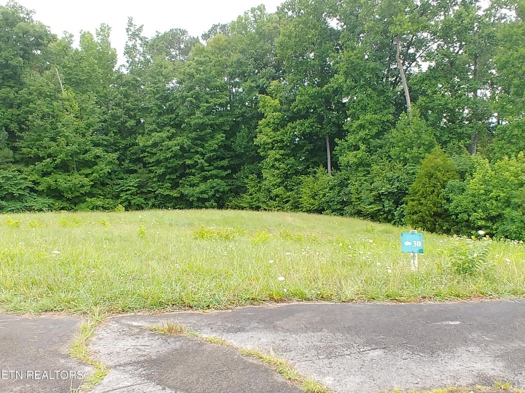 Photo of 0 Mill Drive, Decatur, TN 37322 (MLS # 1305070)