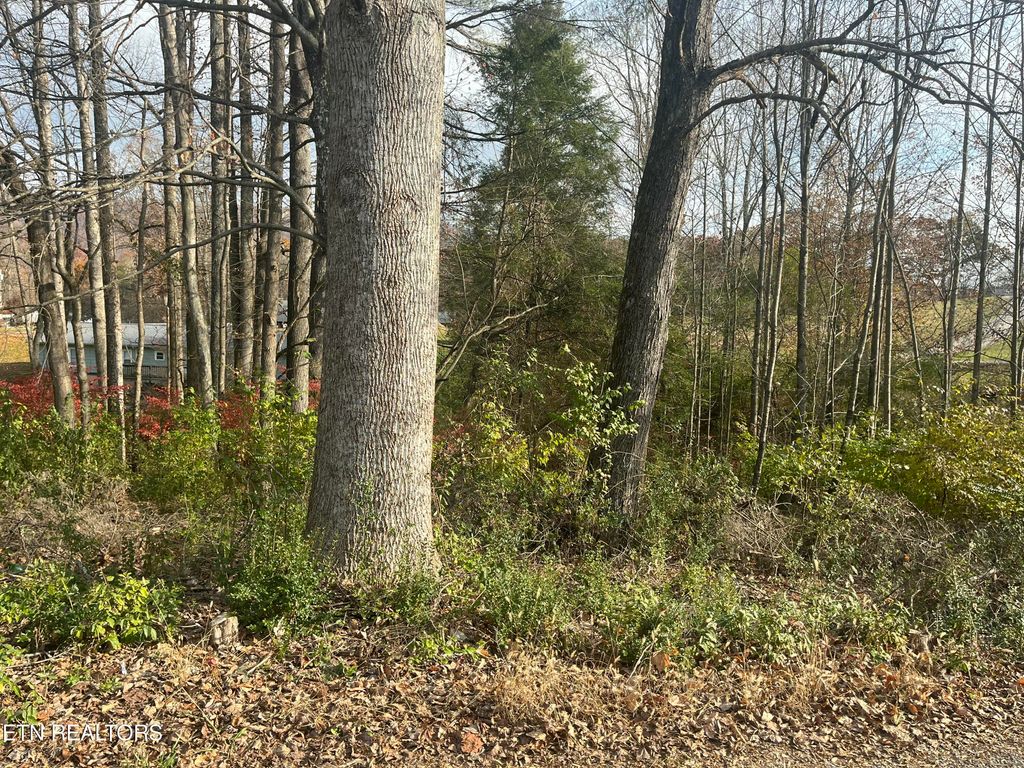 Photo of 114 E C Noe Rd, Oliver Springs, TN 37840 (MLS # 1322280)