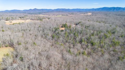 Tiny photo for 179 Human Dr Dr, Lancing, TN 37770 (MLS # 1326257)