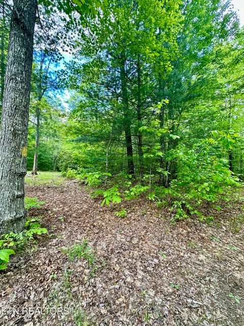 Tiny photo for 179 Human Dr Dr, Lancing, TN 37770 (MLS # 1326257)