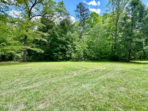 Tiny photo for 179 Human Dr Dr, Lancing, TN 37770 (MLS # 1326257)