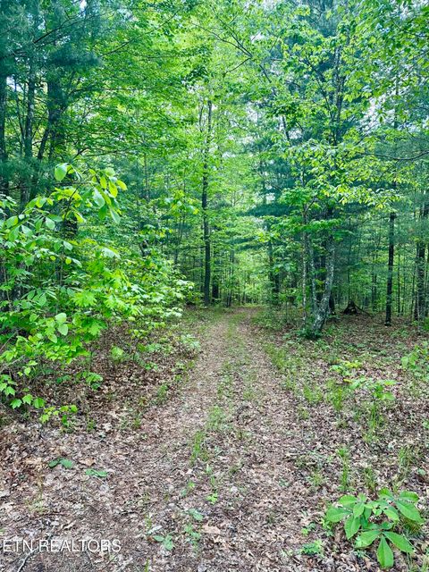 Tiny photo for 179 Human Dr Dr, Lancing, TN 37770 (MLS # 1326257)