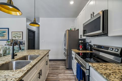 Tiny photo for 325 7Th St, Rocky Top, TN 37769 (MLS # 1337592)