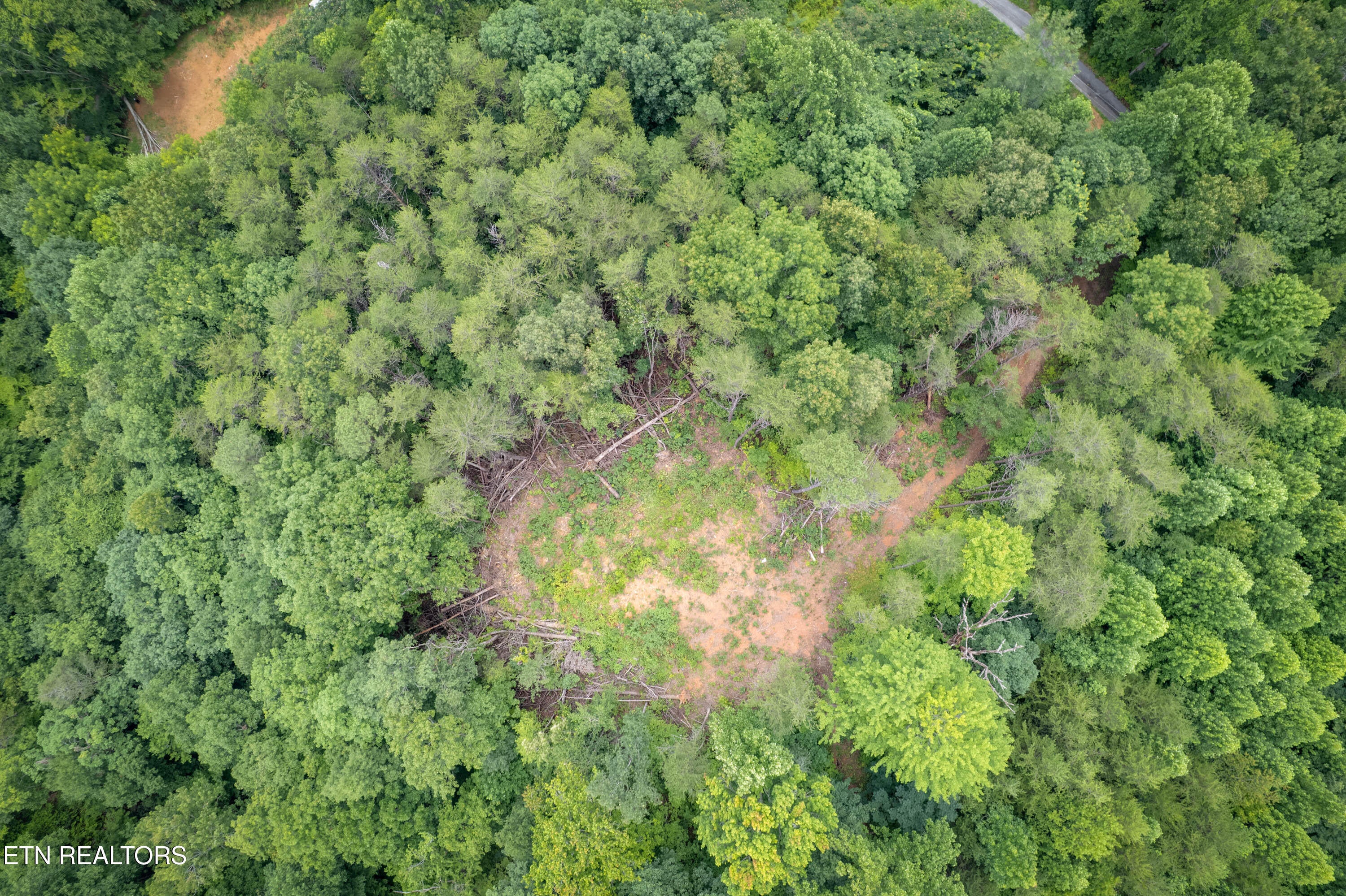 Lot 2 Verless Ogle Rd