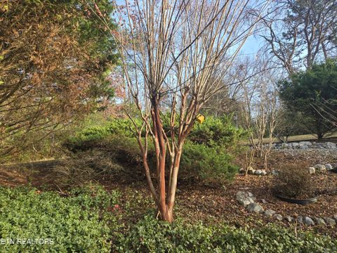 Tiny photo for 316 Bowers Park Circle, Knoxville, TN 37920 (MLS # 1322985)