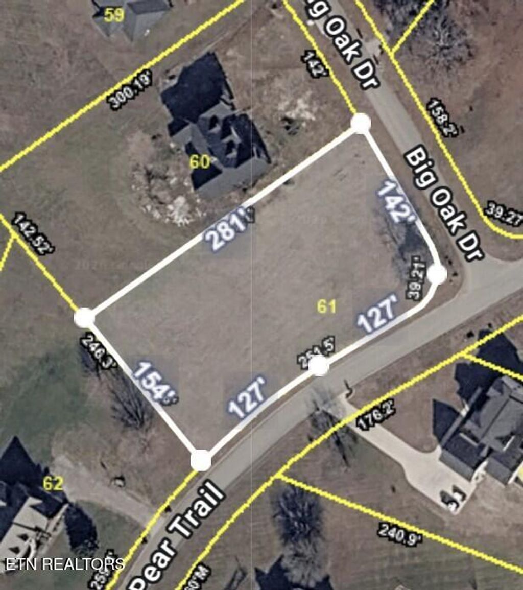 Photo of 61 Big Oak Drive, Dandridge, TN 37725 (MLS # 1338210)