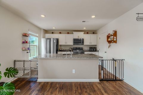 Tiny photo for 4023 Wesoga Drive, Dandridge, TN 37725 (MLS # 1339380)
