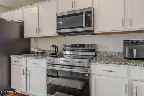 Tiny photo for 4023 Wesoga Drive, Dandridge, TN 37725 (MLS # 1339380)