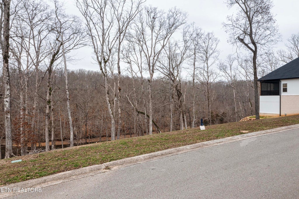 Photo of 386 Waterfront Way, Ten Mile, TN 37880 (MLS # 1255200)