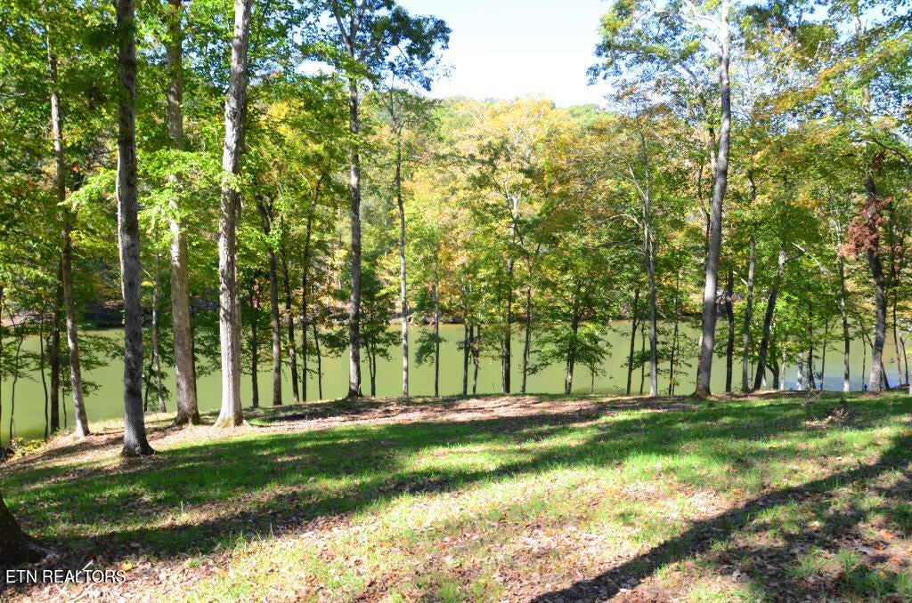 Photo of 386 Waterfront Way, Ten Mile, TN 37880 (MLS # 1255200)