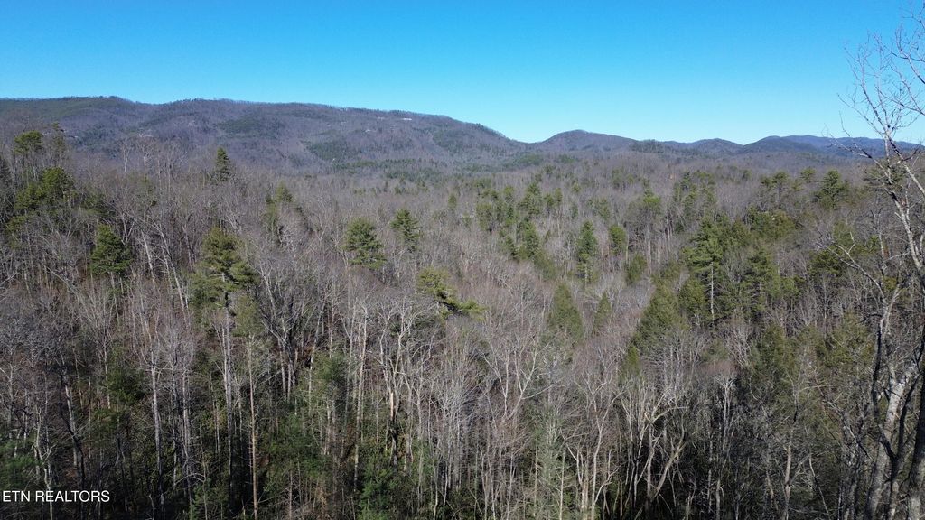 Photo of 6 Taylors Ridge (Journeys End ) Rd, Walland, TN 37886 (MLS # 1326699)