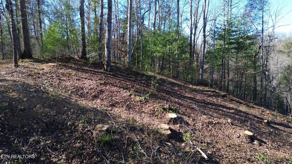 Photo of 6 Taylors Ridge (Journeys End ) Rd, Walland, TN 37886 (MLS # 1326699)