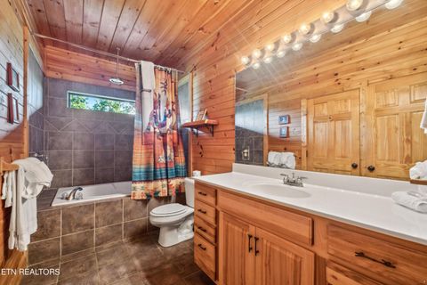 Tiny photo for 1424 Rocky Top Way, Townsend, TN 37882 (MLS # 1333061)