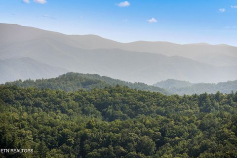 Tiny photo for 1424 Rocky Top Way, Townsend, TN 37882 (MLS # 1333061)