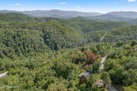 Tiny photo for 1424 Rocky Top Way, Townsend, TN 37882 (MLS # 1333061)