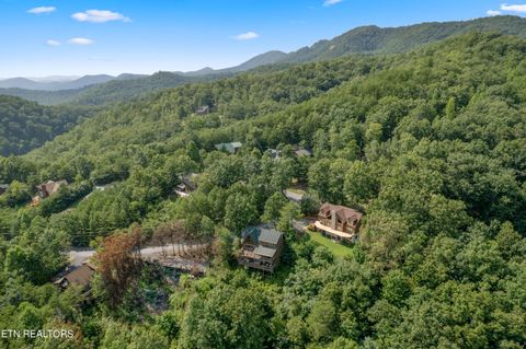Tiny photo for 1424 Rocky Top Way, Townsend, TN 37882 (MLS # 1333061)