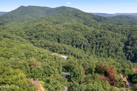 Tiny photo for 1424 Rocky Top Way, Townsend, TN 37882 (MLS # 1333061)