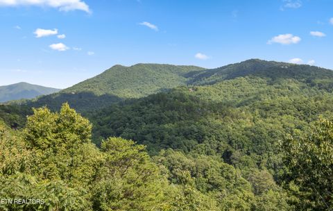 Tiny photo for 1424 Rocky Top Way, Townsend, TN 37882 (MLS # 1333061)