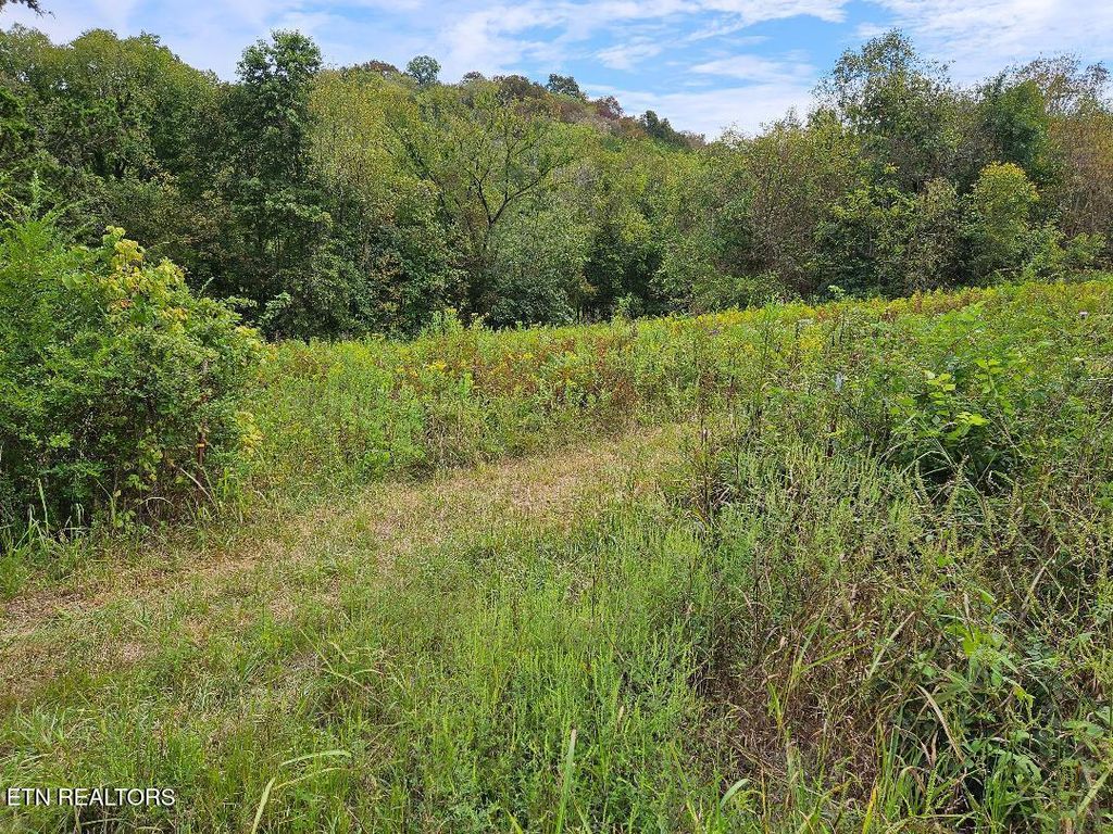 Photo of 00 TN-96, Buffalo Valley, TN 38548 (MLS # 1327639)
