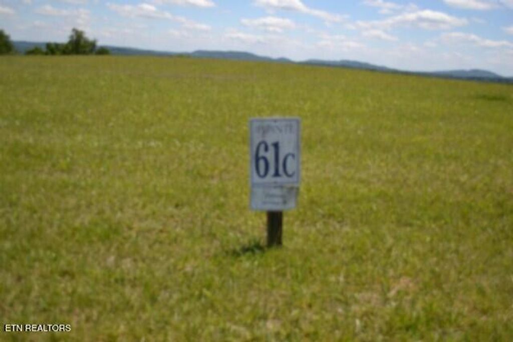 Photo of 61 Walleye Rd, Hilham, TN 38568 (MLS # 1340108)