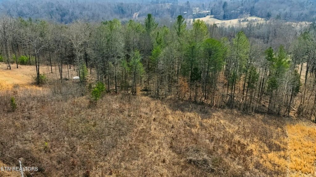 Photo of TBD Pinnacle Pointe Way, Sharps Chapel, TN 37866 (MLS # 1331064)