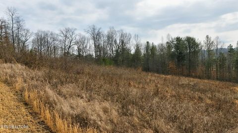 Tiny photo for TBD Pinnacle Pointe Way, Sharps Chapel, TN 37866 (MLS # 1331064)