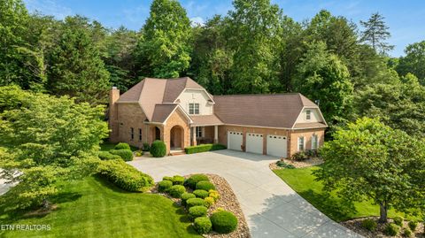 Photo of 725 Wood Duck Drive, Vonore, TN 37885 (MLS # 1319876)