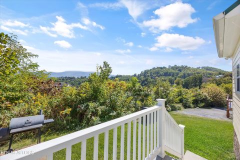 Tiny photo for 807 Wattle Blossom Way, Gatlinburg, TN 37738 (MLS # 1317560)