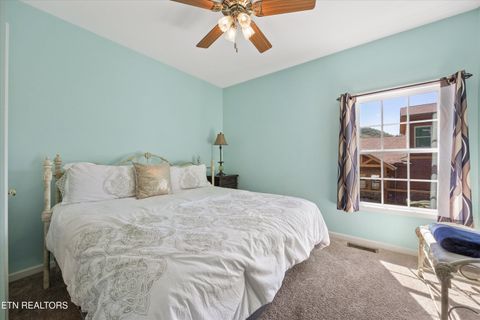Tiny photo for 807 Wattle Blossom Way, Gatlinburg, TN 37738 (MLS # 1317560)