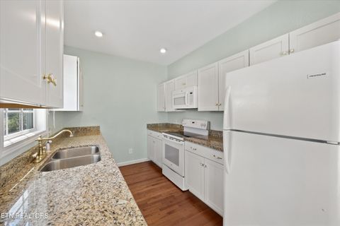 Tiny photo for 807 Wattle Blossom Way, Gatlinburg, TN 37738 (MLS # 1317560)