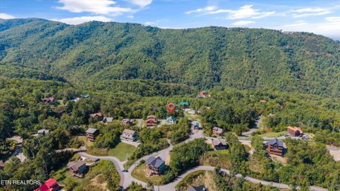 Tiny photo for 807 Wattle Blossom Way, Gatlinburg, TN 37738 (MLS # 1317560)