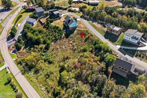 Tiny photo for 86 Blue Herring Way, Sevierville, TN 37876 (MLS # 1318526)
