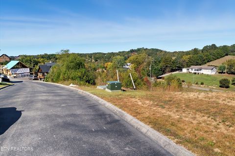 Photo of 86 Blue Herring Way, Sevierville, TN 37876 (MLS # 1318526)
