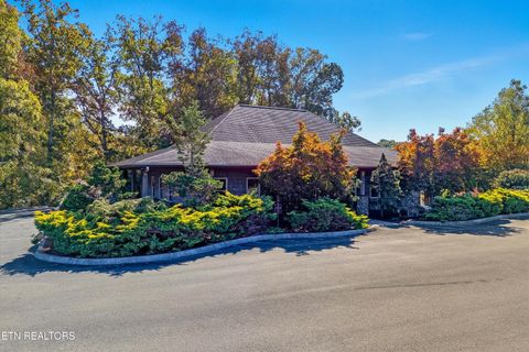 Tiny photo for 86 Blue Herring Way, Sevierville, TN 37876 (MLS # 1318526)