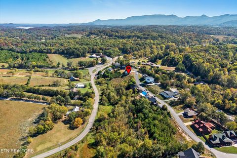 Tiny photo for 86 Blue Herring Way, Sevierville, TN 37876 (MLS # 1318526)