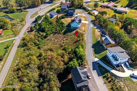Tiny photo for 86 Blue Herring Way, Sevierville, TN 37876 (MLS # 1318526)