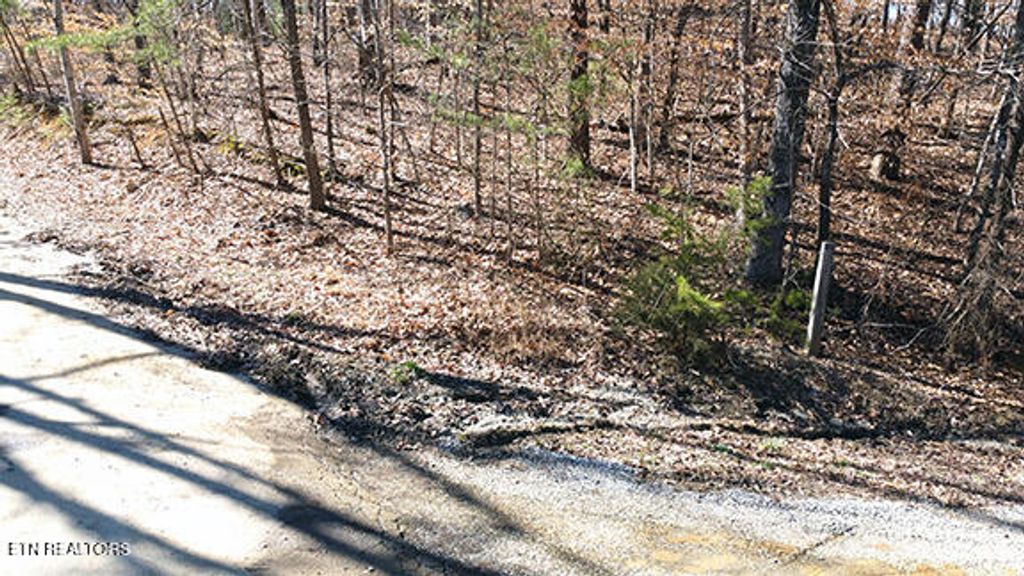 Photo of 0 Old Oliver Rd, Walland, TN 37886 (MLS # 1291345)