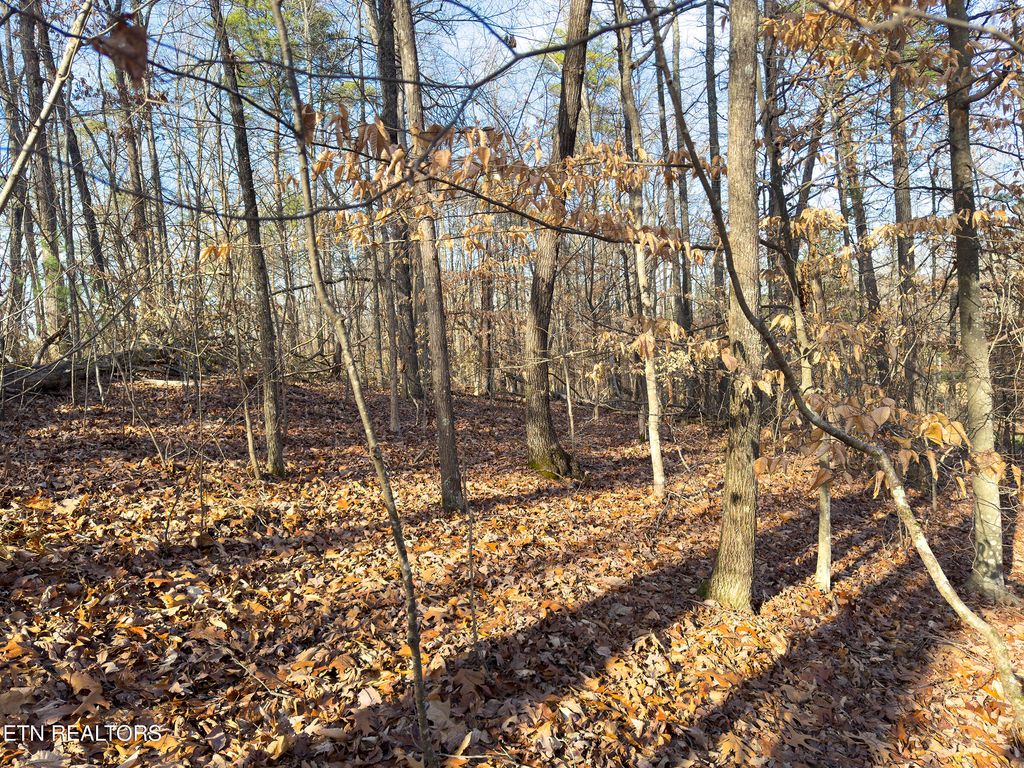 Photo of 0 Old Oliver Rd, Walland, TN 37886 (MLS # 1291345)