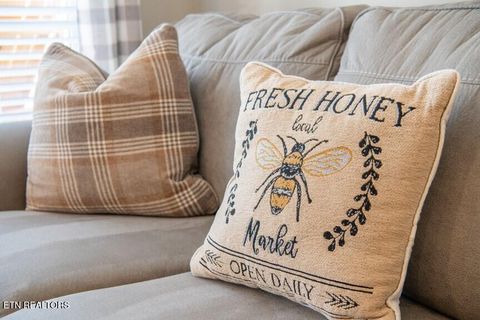 Tiny photo for 535 Orchard Valley Way, Sevierville, TN 37862 (MLS # 1321007)