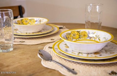 Tiny photo for 535 Orchard Valley Way, Sevierville, TN 37862 (MLS # 1321007)