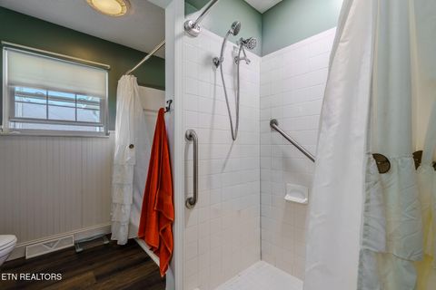 Tiny photo for 149 Woodson Lane, LaFollette, TN 37766 (MLS # 1329245)