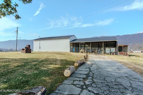 Tiny photo for 149 Woodson Lane, LaFollette, TN 37766 (MLS # 1329245)