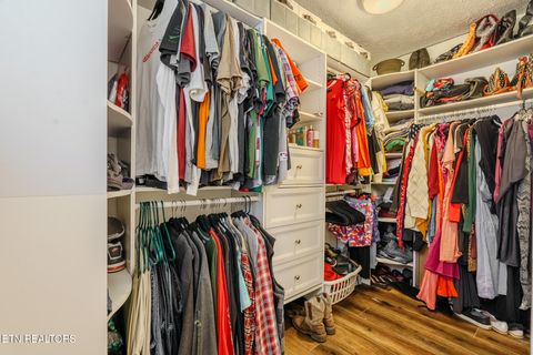 Tiny photo for 149 Woodson Lane, LaFollette, TN 37766 (MLS # 1329245)