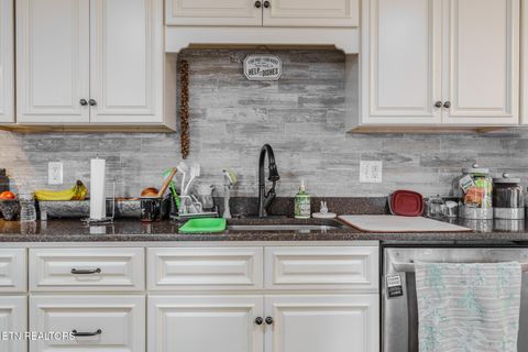 Tiny photo for 149 Woodson Lane, LaFollette, TN 37766 (MLS # 1329245)