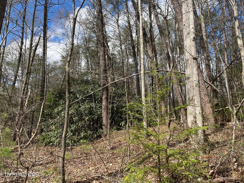Photo of 1.5 AC Hwy 68, Tellico Plains, TN 37385 (MLS # 1258360)