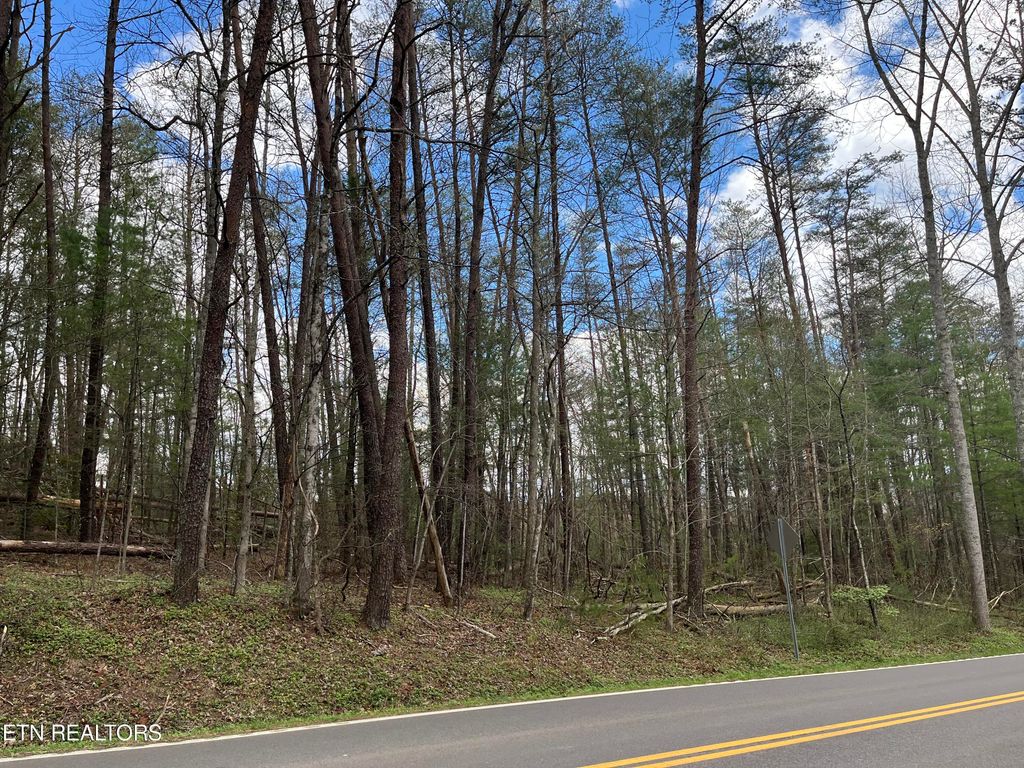 Photo of 1.5 AC Hwy 68, Tellico Plains, TN 37385 (MLS # 1258360)