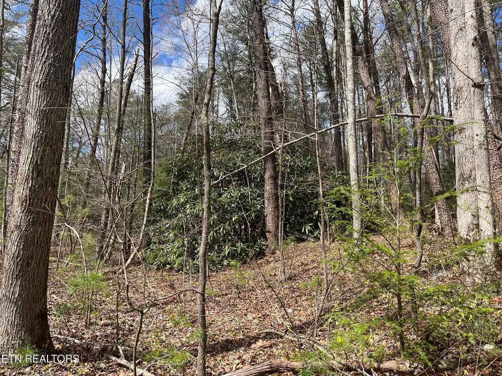 Photo of 1.5 AC Hwy 68, Tellico Plains, TN 37385 (MLS # 1258360)